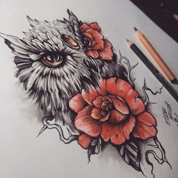 illustration unique owl rose tattoo